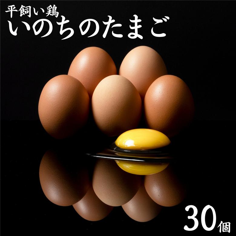 産地直送 卵 30個 食べチョク アワード 2025 総合4位 受賞 平飼い 鶏 いのちの たまご | タマゴ 玉子 111M