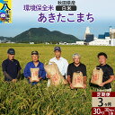 【ふるさと納税】【白米】《定期便3ヶ月》令和6年産 秋田県産 あきたこまち 環境保全米 30kg (30kg×1袋)×3回 計90kg