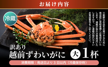 【先行予約】【訳あり】 茹で「越前ズワイ蟹」 大 1杯 脚折れ 【2025年1月発送分】【わけあり ワケアリ カニ かに 蟹 越前ガニ 越前蟹 ずわいがに ズワイガニ ズワイ ボイルガニ 姿 ボイル 