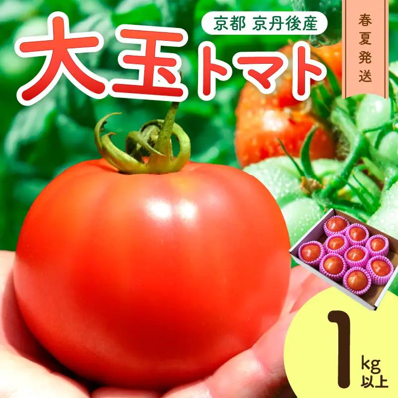 【トマト】大玉春夏トマト 1kg（2026年5月中旬～発送）