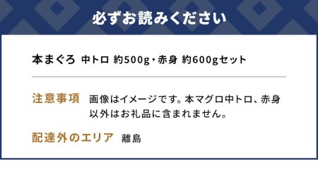 本まぐろ 中トロ 約500g・赤身 約600gセット | 津久見市