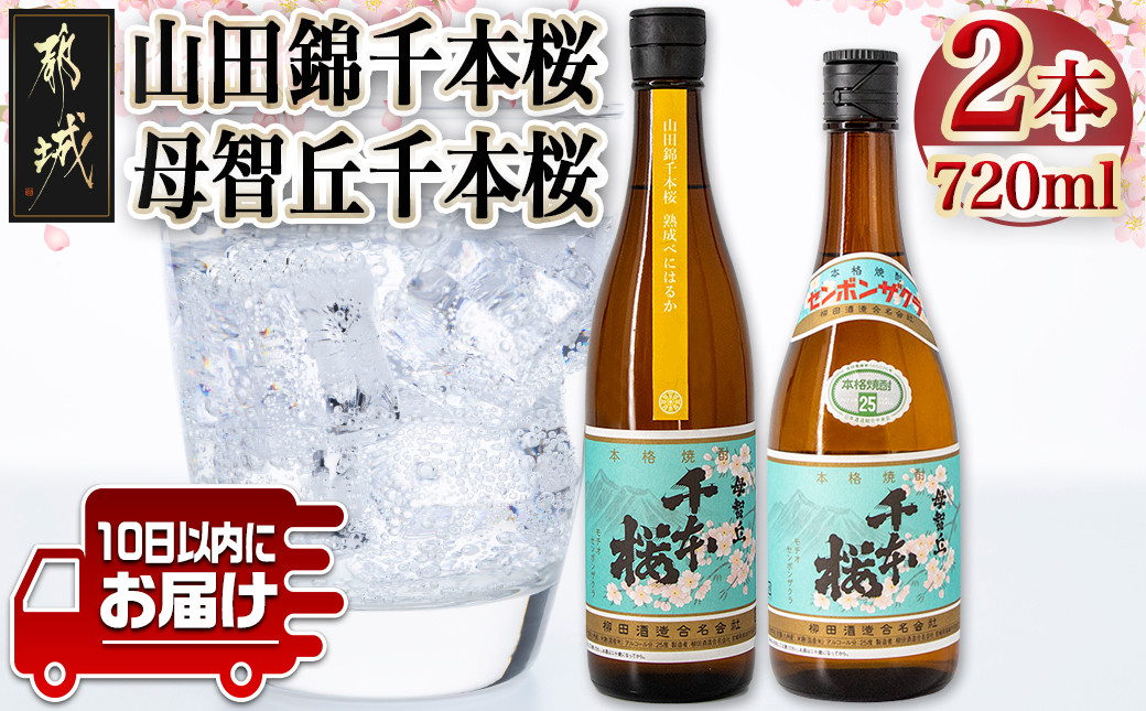 
【柳田酒造】山田錦千本桜・母智丘千本桜(25度)720ml×2本 ≪みやこんじょ特急便≫_AA-0751_(都城市) 本格芋焼酎 べにはるか 熟成 お湯割 ロック ソーダ割 伝統製法 老舗 家飲み 宅飲み 定番焼酎
