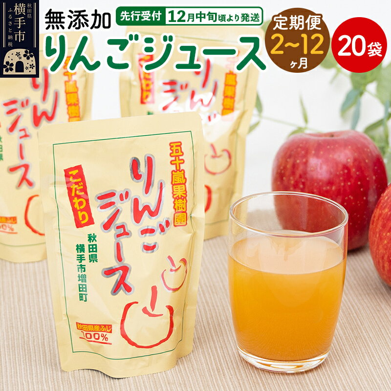 【ふるさと納税】《定期便2〜12ヶ月》無添加りんごジュース（サンふじ）20パック リンゴジュース