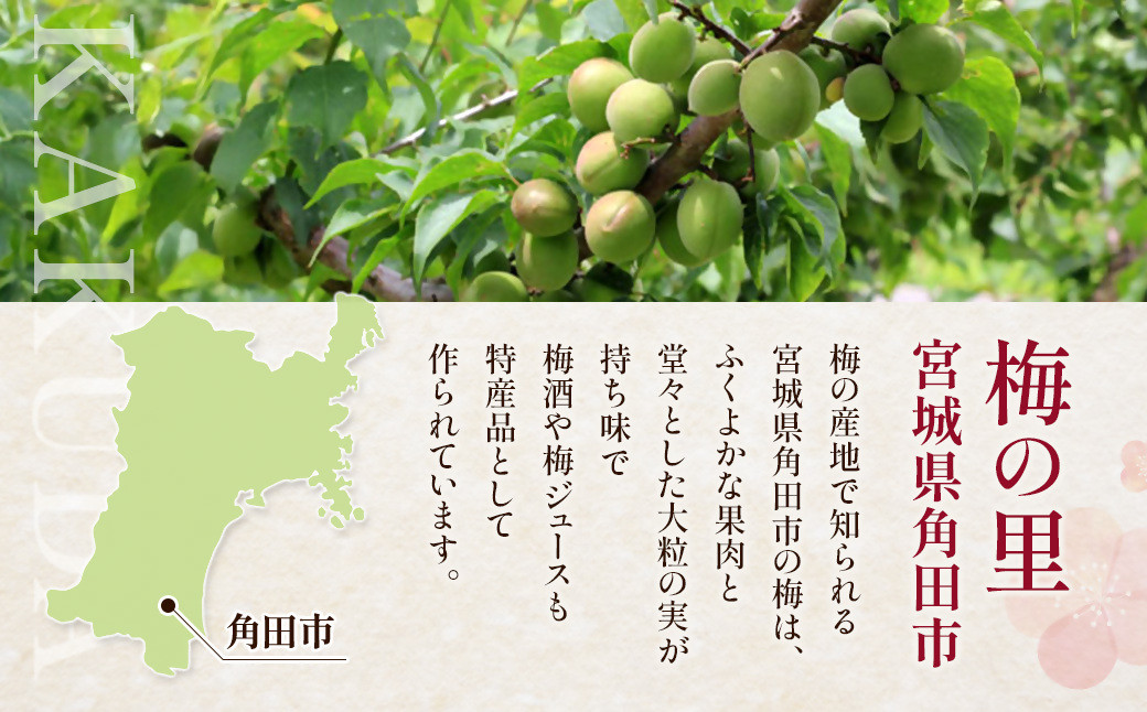 【宮城県角田市の梅酒】岸浪園の梅酒　青梅　1,800ml×1本