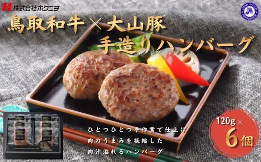 ハンバーグ 鳥取和牛×大山豚手造り 氷温熟成 大山物語 120g×6
