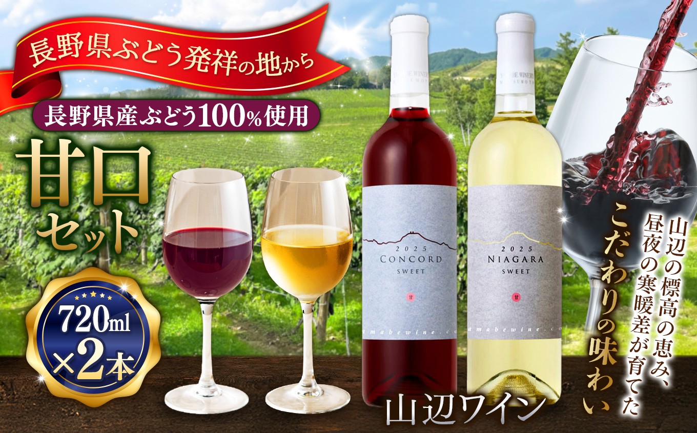 
                  【甘口セット】山辺ワインセット720ml×2本(コンコード×ナイヤガラ)｜ワイン 飲み比べ お酒 甘口 セット 信州 コンコード ナイヤガラ ぶどう ふるさと納税 長野県産 松本市 希少価値
                