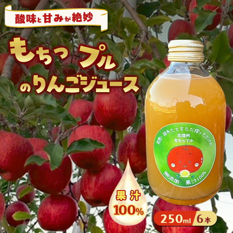 【ふるさと納税】もちっプルのりんごジュース 果汁100% 250ml×6本 りんごジュース ジュース 飲料 100%果汁 サンふじ 山ノ内町 もっちーの畑　お届け：2027年1月～6月末日まで
