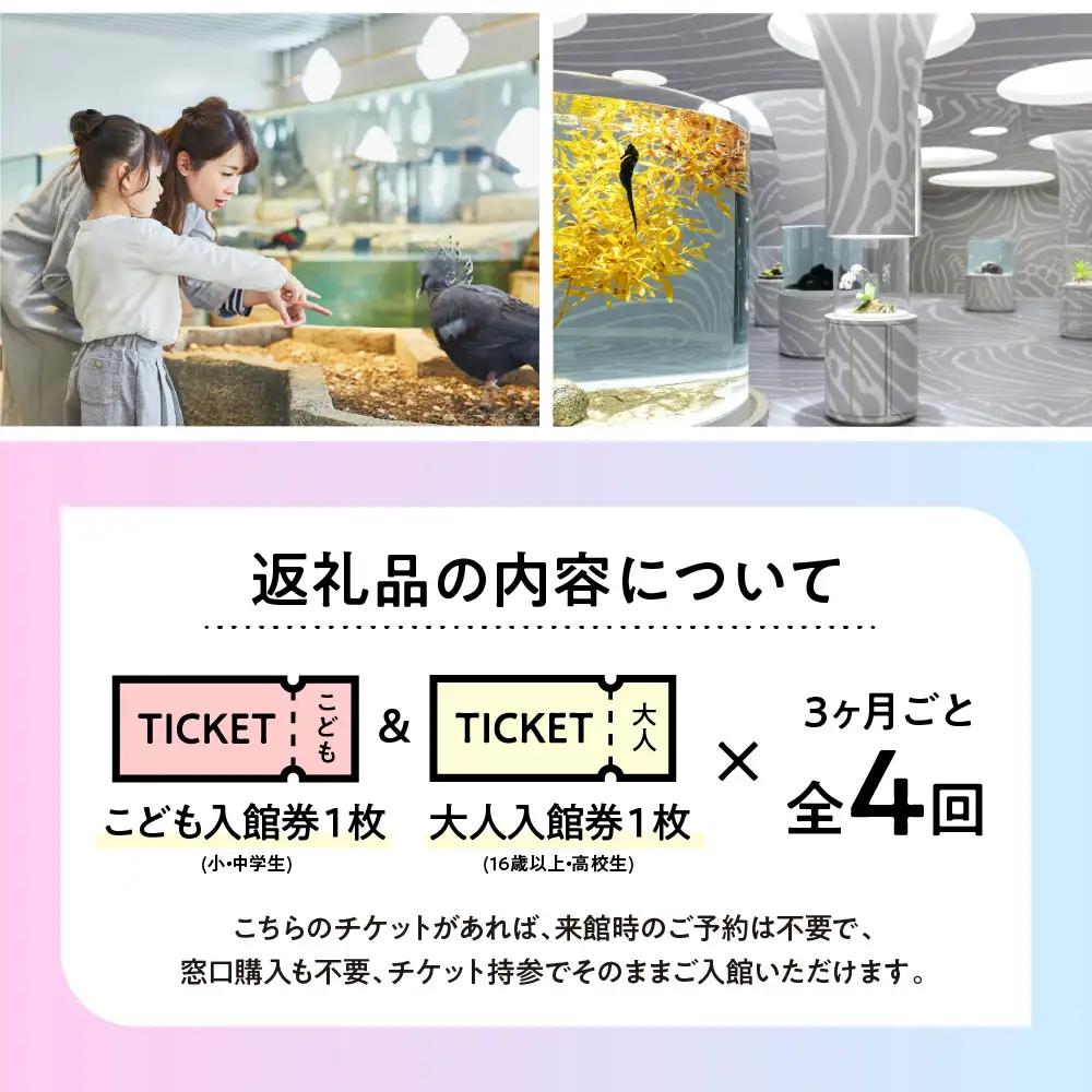 【3カ月ごとお届け】ニフレル入館券 大人1枚+こども1枚 全4回 