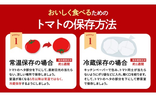 【母の日専用】 スーパーフルーツトマト てるて姫 大箱 約2.6kg ×1箱 糖度9度以上 《5月3日～9日お届け メッセージカード付》[BC094sa]