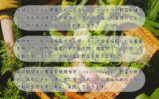 自然環境の循環の中では、生き物（微生物）たちと共に野菜を育てていることを強く感じることができます。