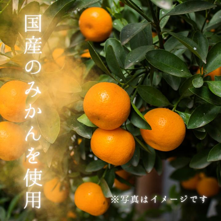 メルカドレグメス　ドライフルーツ　みかん ／ ドライフルーツ フルーツ 果物 くだもの みかん ミカン 蜜柑 自家製