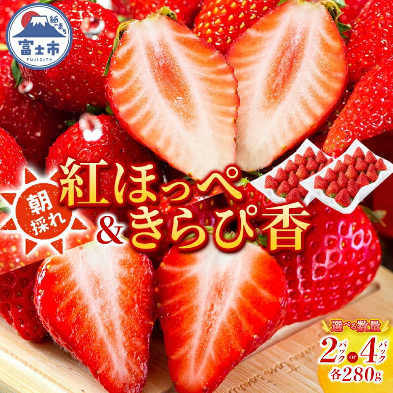 【ふるさと納税】 期間限定 富士市産 いちご 2種セット 紅ほっぺ きらぴ香 選べるパック数 各1P/2P (1P約280g入) 食べ比べ 朝どれ 新鮮 高糖度 甘み 香り 酸味 ジューシー 人気 果物 フルーツ 旬 ギフト 贈り物 【配送不可地域：沖縄・離島】 [sf123-005] [sf123-006]