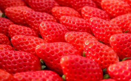 いちご 4種食べ比べ ご家庭用 福岡県産 果物 いちご【6〜15玉×4パック】