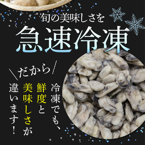 北吉水産 広島県産 冷凍 かき Lサイズ 3kg（1kg×3袋） 大粒 自社ブランド 牡蠣 カキ 急速冷凍 バラ冷凍 新鮮 美味しい 殻むき不要 小分け 便利 アレンジいろいろ カキフライに 広島県 