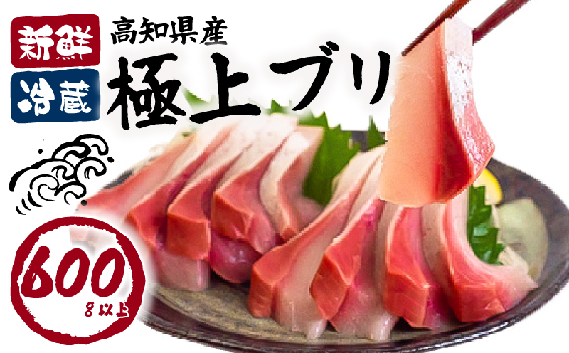 ぶり カット 約 600g ブリしゃぶ 鰤 刺身 年末年始 ぶり 刺身 たたき 切り身 冷蔵 魚 魚介 国産 おかず お弁当 料理 ご飯 惣菜 しゃぶしゃぶ 照り焼き 正月 ブリ刺身 刺し身 便利 たっぷり おいしい 高知県 須崎市 高知