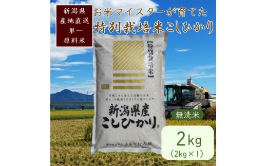 
                  お米マイスターが育てた特別栽培米 精米コシヒカリ 上越産 令和7年産 2kg(2kg×1袋)無洗米 ふぁーむ大地  JCCソフト
                