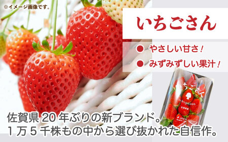 【先行予約】佐賀のブランドいちご いちごさん 約1kg（約250g×4p）/中村青果店 [UDK007] いちご イチゴ 苺 果物 フルーツ