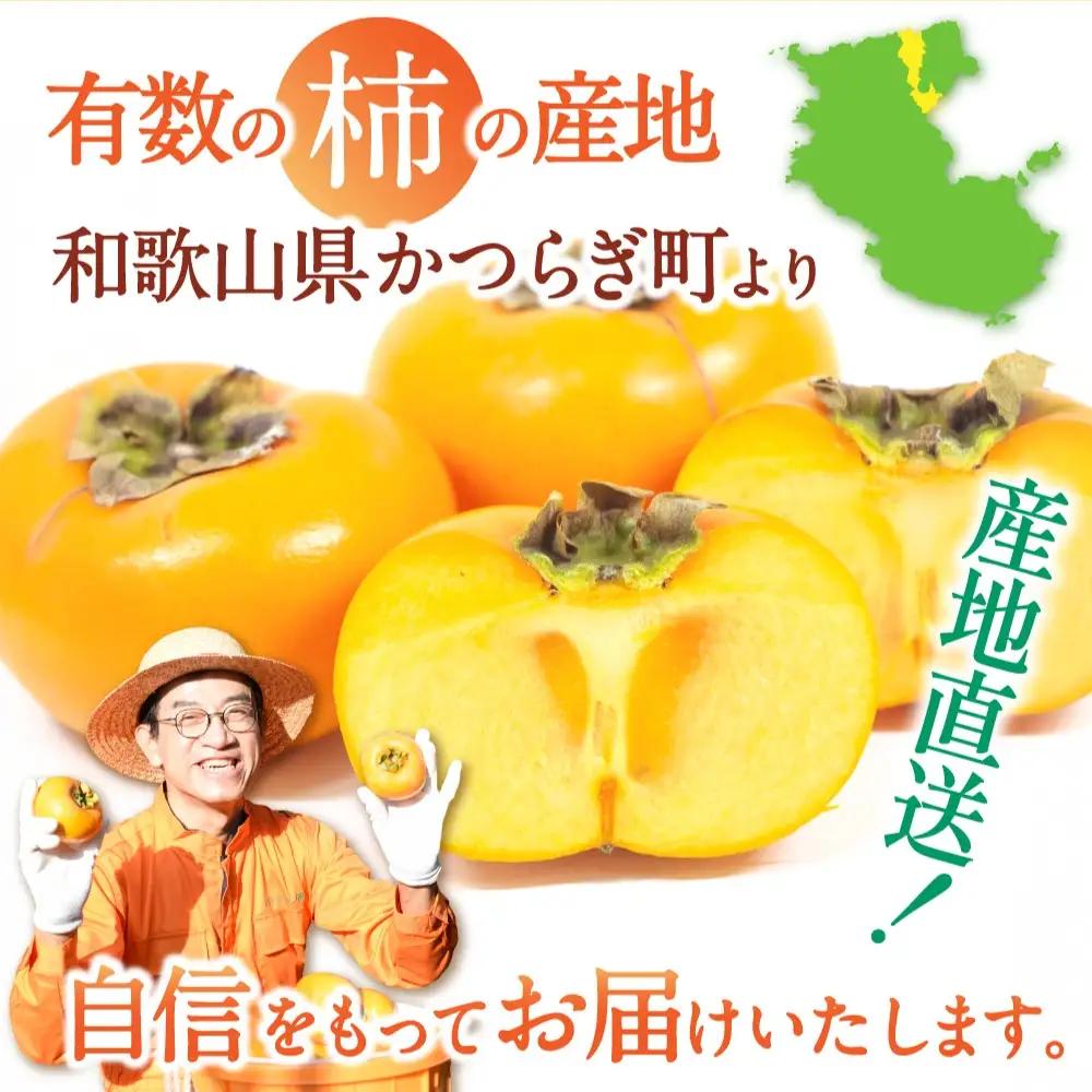 柿 お試しに！カキエモン農園のたねなし 柿 約2kg 【2026年9月下旬～11月上旬頃順次発送】【BX-kkem006A】