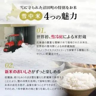 令和8年産【定期便4ヶ月】ななつぼし 玄米 20kg（10kg×2袋） 【4月発送】開始 雪冷気 籾貯蔵 雪中米 北海道 nr-3319