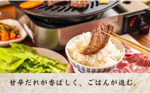 【スピード発送／和牛焼肉】おおいた和牛 味付け和牛焼肉1kg（タレ込）（500g×2P） | 和牛焼肉 黒毛和牛焼肉 焼肉和牛 和牛焼き肉 国産 九州 焼くだけ簡単 バーベキュー タレ漬け 豊後高田市