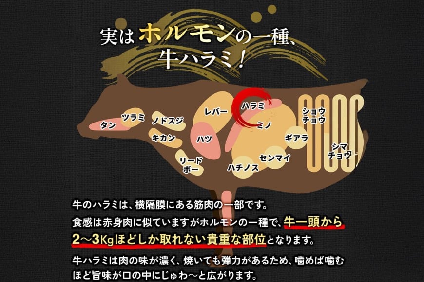 牛肉 焼肉 国産 特製たれ漬 牛ハラミ サガリ 750g [宇美ホルモン 福岡県 宇美町 um40azp100004] ハラミ はらみ 牛はらみ 小分け 個包装 牛 肉 焼き肉 ホルモン タレ漬け た