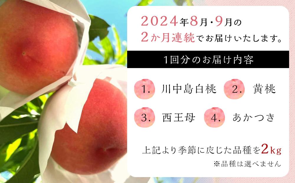 【定期便 全2回／2024年8・9月発送】＜旬の桃おまかせ2kg・6～8玉＞×2回（自家製有機肥料・減農薬・化学肥料無使用）