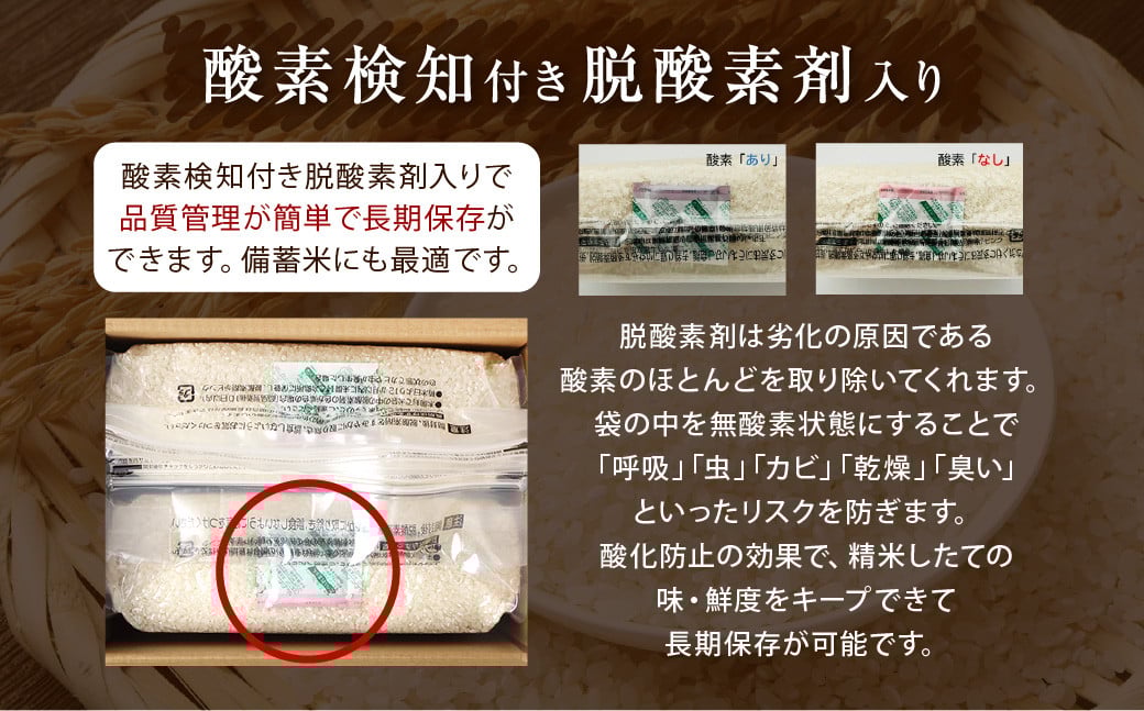 【令和6年産】無洗米 長崎 なつほのか 計10kg（5kg×2袋）  ／ お米 米 こめ コメ