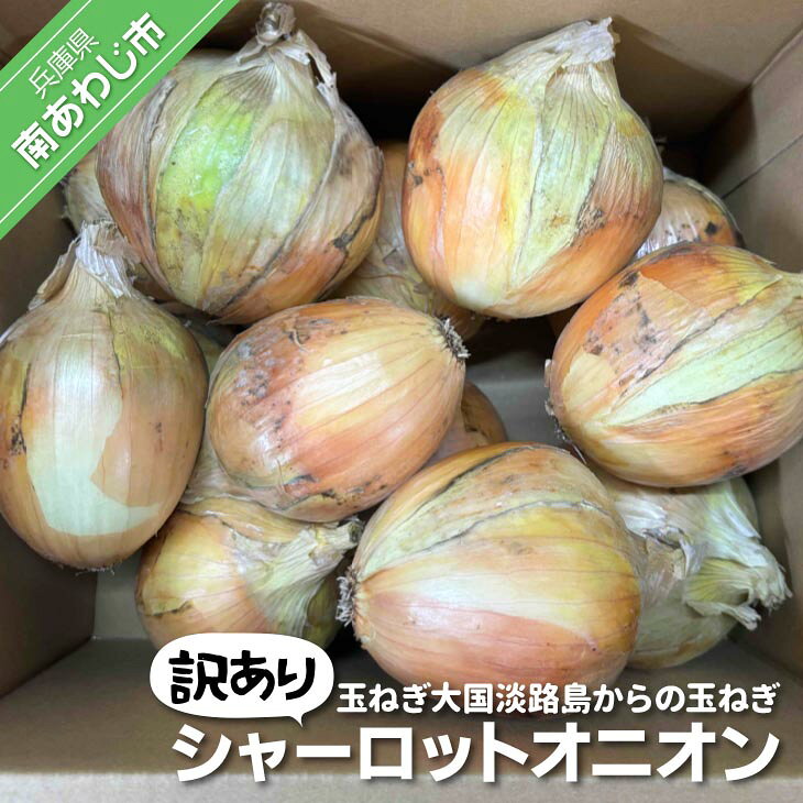 【ふるさと納税】【訳あり】淡路島極熟玉葱　シャーロットオニオン【2kg～20kg】玉ねぎ大国淡路島からの玉ねぎ