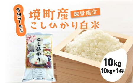 【令和7年産】 境町 白米 「コシヒカリ」 10kg(10kg×1袋) 数量限定 S277