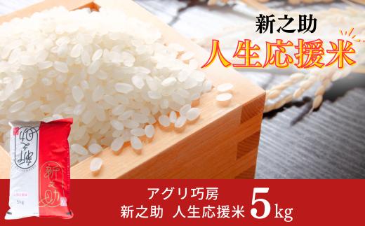 新之助人生応援米 5kg 令和7年産 新之助 白米 【012S079】