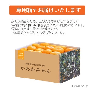＜期間限定!寄付額改定＞【天皇杯受賞産地】川上みかん 約5kg【訳あり】【C25-247】【1654045】