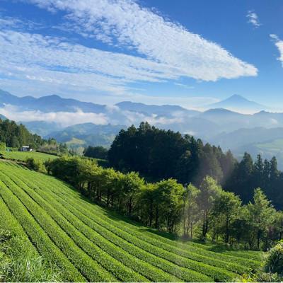 ふるさと納税 静岡市 【駿府堂茶舗】の和紅茶50g×5パック | 清水紅茶 | 国産紅茶 |  | 01