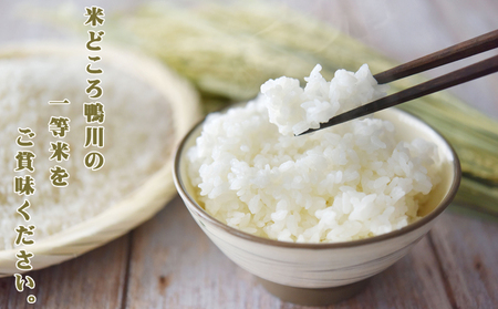 《令和７年 新米》【米屋新蔵】千葉県の新品種『長狭米 粒すけ』３kg　[0010-0364]