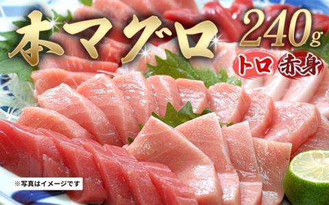 【串本町×北山村】本マグロ（養殖）トロ＆赤身セット240ｇ【1月発送分】