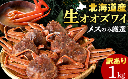 北海道産 生大ズワイガニ メス 1kg （加熱用） ずわいがに 蟹 〈斉藤水産〉 AM158 冷凍 訳あり オオズワイガニ オオズワイ ズワイガニ 松葉蟹 松葉ガニ せこガニ ずわいカニ 蟹 姿 カニ 生ずわい ズワイ姿