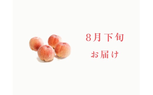 ＜2027年発送先行予約＞【8月下旬お届け】品種おまかせ！山梨県産の旬の桃 4kg 約8~15玉 ALPDS023