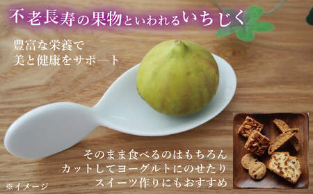 福島県新地町産いちじくセミドライフルーツ　50g×2袋セット　合計100g