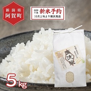 米 5kg 新潟県産 コシヒカリ 令和7年産 阿賀 上川 源流米 | 七福の恵 こしひかり 白米 精米 送料無料 お取り寄せ お米