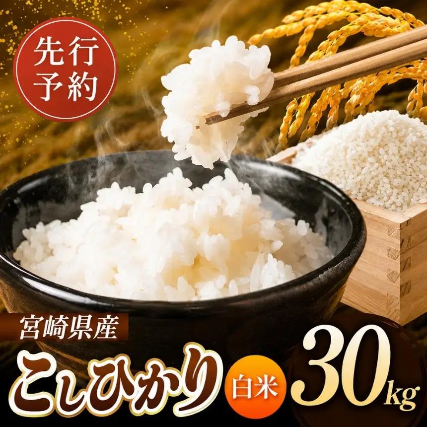 令和8年産 こしひかり 30kg ( 5kg × 6袋 ) ( 白米 ) 宮崎県産