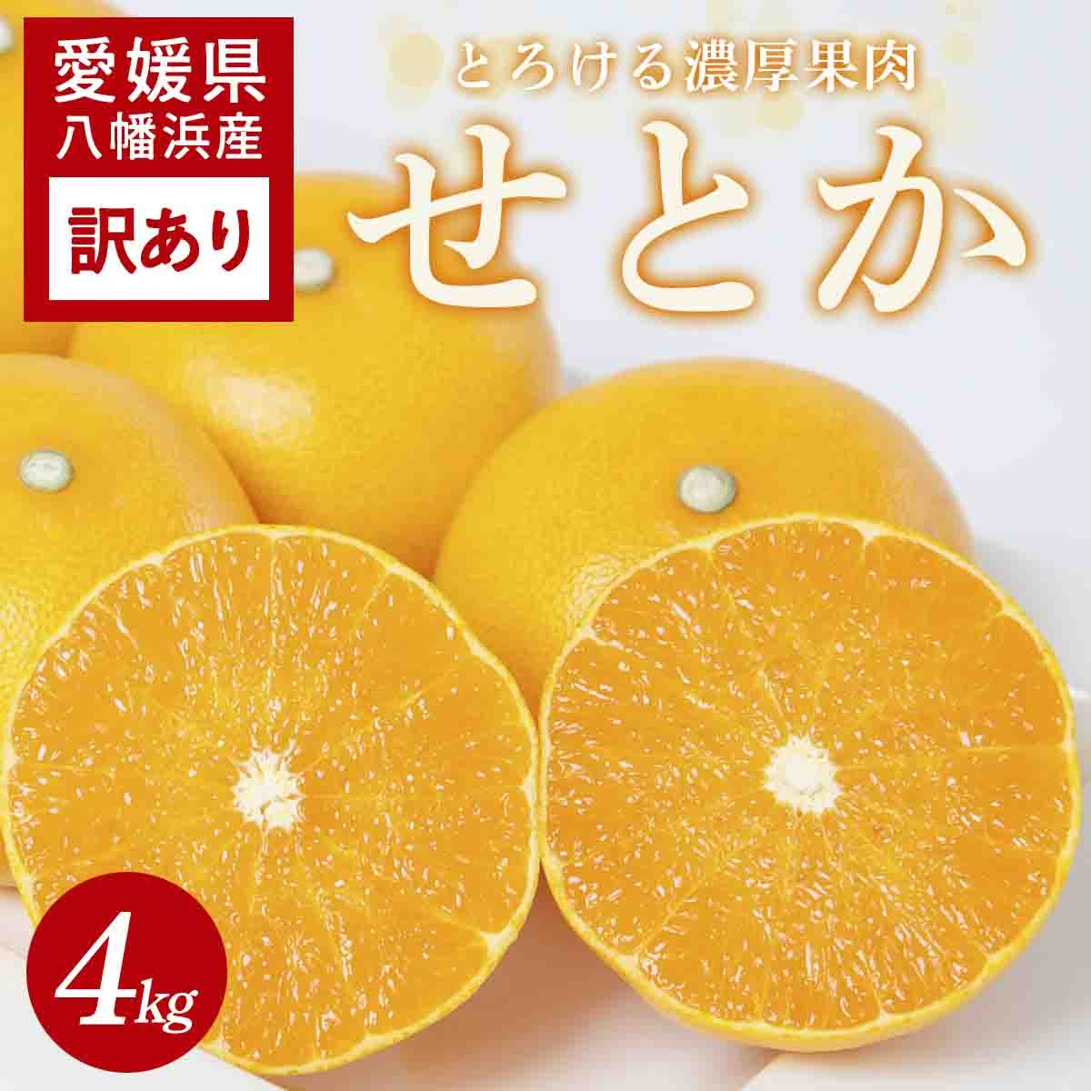 
                  【先行受付】 ＜訳あり＞せとか 4kg 愛媛県 八幡浜産市 西宇和地区 柑橘の女王＜C25-328＞【1714499】 YWTAP269
                