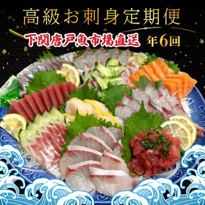 ふるさと納税 下関市 【定期便年6回】 唐戸市場直送 高級お刺身 各2人前 隔月発送 冷凍 真空 鮮魚 EY020-x