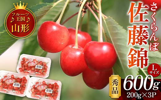 
            【先行予約 2025年度発送】♪フルーツ王国山形♪佐藤錦 秀品 FSY-1123
          