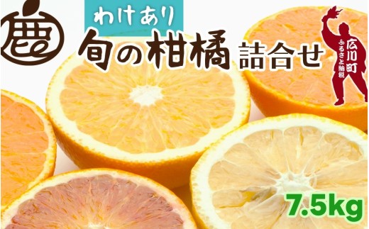 柑橘 詰合せ 7.5kg+250g 訳あり 光センサー / みかん 不知火 清見 八朔 伊予間 セミノール レモン ３種類以上 詰め合わせ 晩柑 ※1月上旬〜6月上旬に順次発送 ※北海道・沖縄・離島への配送不可【ikd049-c-7d5B】