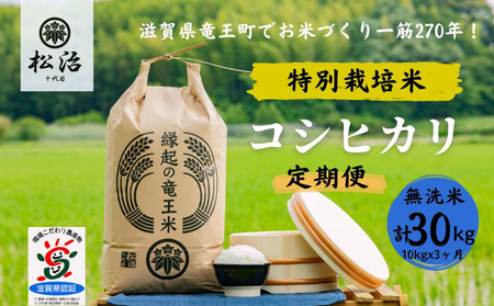 【 新米予約 】 定期便 3ヶ月 コシヒカリ 無洗米 10kg 縁起の竜王米 ( 令和6年産 先行予約 新米 こしひかり ｺｼﾋｶﾘ こしひかり ｺｼﾋｶﾘ こしひかり ｺｼﾋｶﾘ こしひかり ｺｼﾋｶﾘ こしひかり ｺｼﾋｶﾘ こしひかり ｺｼﾋｶﾘ ) こしひかり ｺｼﾋｶﾘ こしひかり ｺｼﾋｶﾘ こしひかり ｺｼﾋｶﾘ こしひかり ｺｼﾋｶﾘ こしひかり ｺｼﾋｶﾘ こしひかり ｺｼﾋｶﾘ こしひかり ｺｼﾋｶﾘ こしひかり ｺｼﾋｶﾘ こしひかり ｺｼﾋｶﾘ こしひかり ｺｼﾋｶﾘ こしひかり ｺ