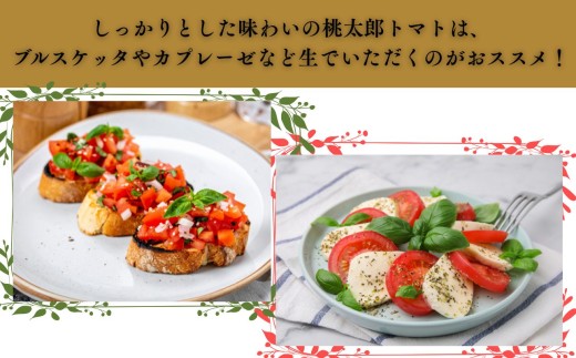 【10月発送】訳あり 青森県産 桃太郎 トマト 約4kg 大玉 tomato 新鮮 野菜 旬 甘い 完熟 ジュース 産地直送 農家直送 お取り寄せ