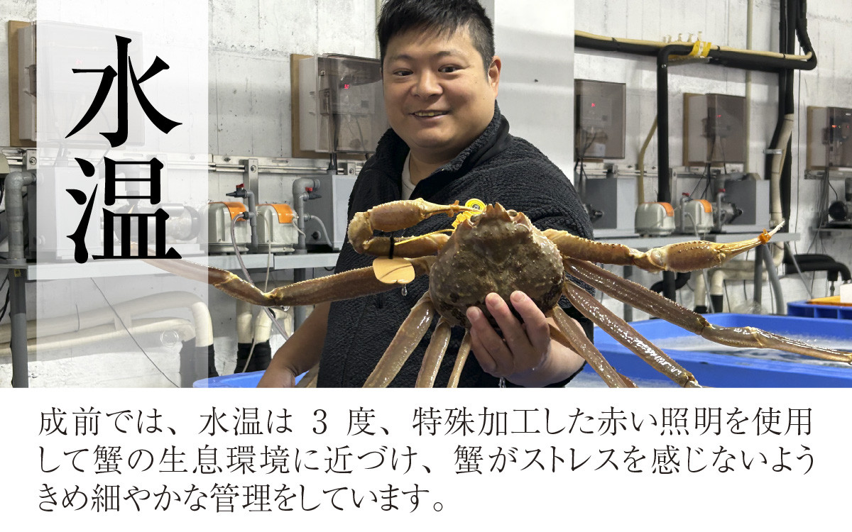 成前のこだわり（１）かにがストレスを感じないよう、水温・照明などを管理し、より蟹の生育環境に近づけ泥吐きをさせます。