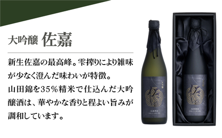 【The SAGA認定酒】佐嘉 大吟醸 720ml×1本【白木酒店】日本酒 四合瓶 佐賀[HAQ045]