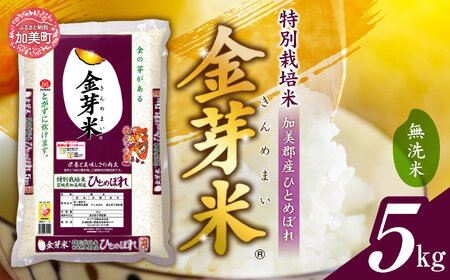 無洗米 金芽米 5kg 無洗米 金芽米