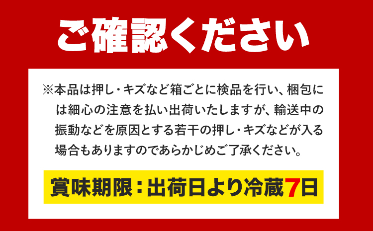 【先行予約】ニューピオーネ 1房 オーロラブラック 1房 500g 前後 たけまさぶどう園 《8月中旬-9月中旬頃出荷》岡山県 浅口市 フルーツ デザート おやつ ぶどう 果物 国産 岡山県産 くだも