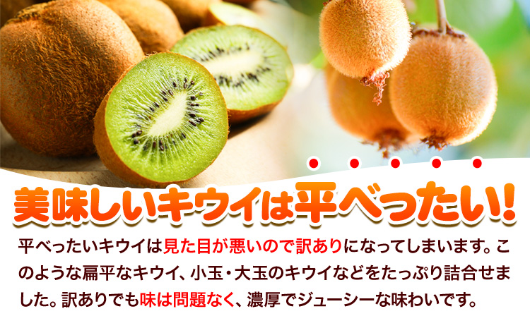 先行予約 ご家庭用 キウイ フルーツ 約1kg ＋250g (傷み補償分) 池田鹿蔵農園@日高町（池田農園株式会社）《11月中旬～2027年4月下旬出荷》【配送不可地域あり】和歌山県 日高町 わけあり